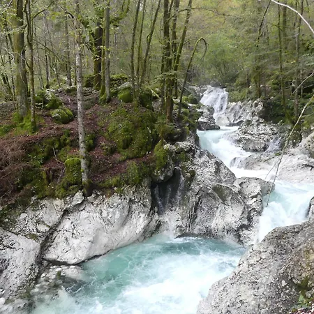 Happy Nes.t Bovec