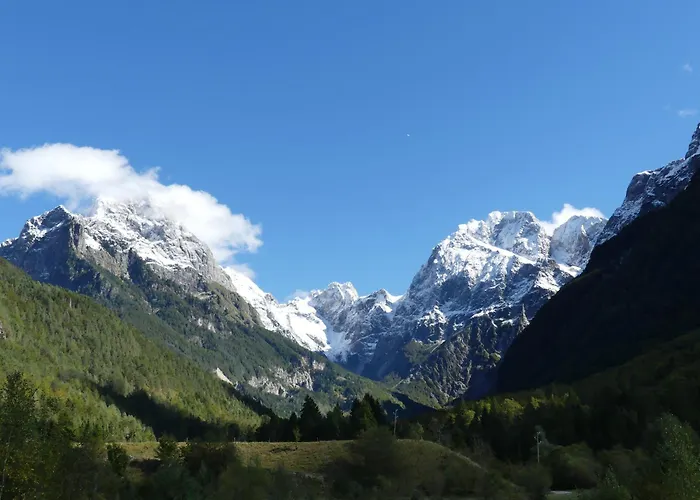 Happy Nes.t 보베츠