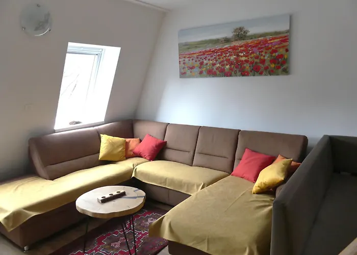 Happy Nes.t * 보베츠